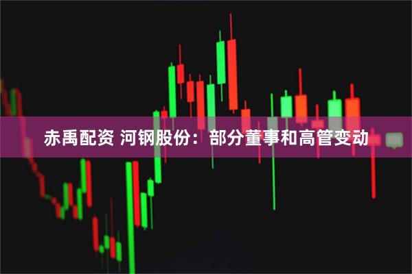 赤禹配资 河钢股份：部分董事和高管变动