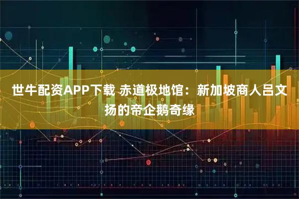 世牛配资APP下载 赤道极地馆：新加坡商人吕文扬的帝企鹅奇缘