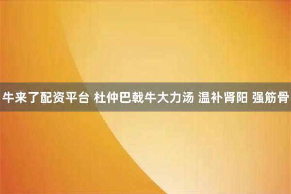 牛来了配资平台 杜仲巴戟牛大力汤 温补肾阳 强筋骨